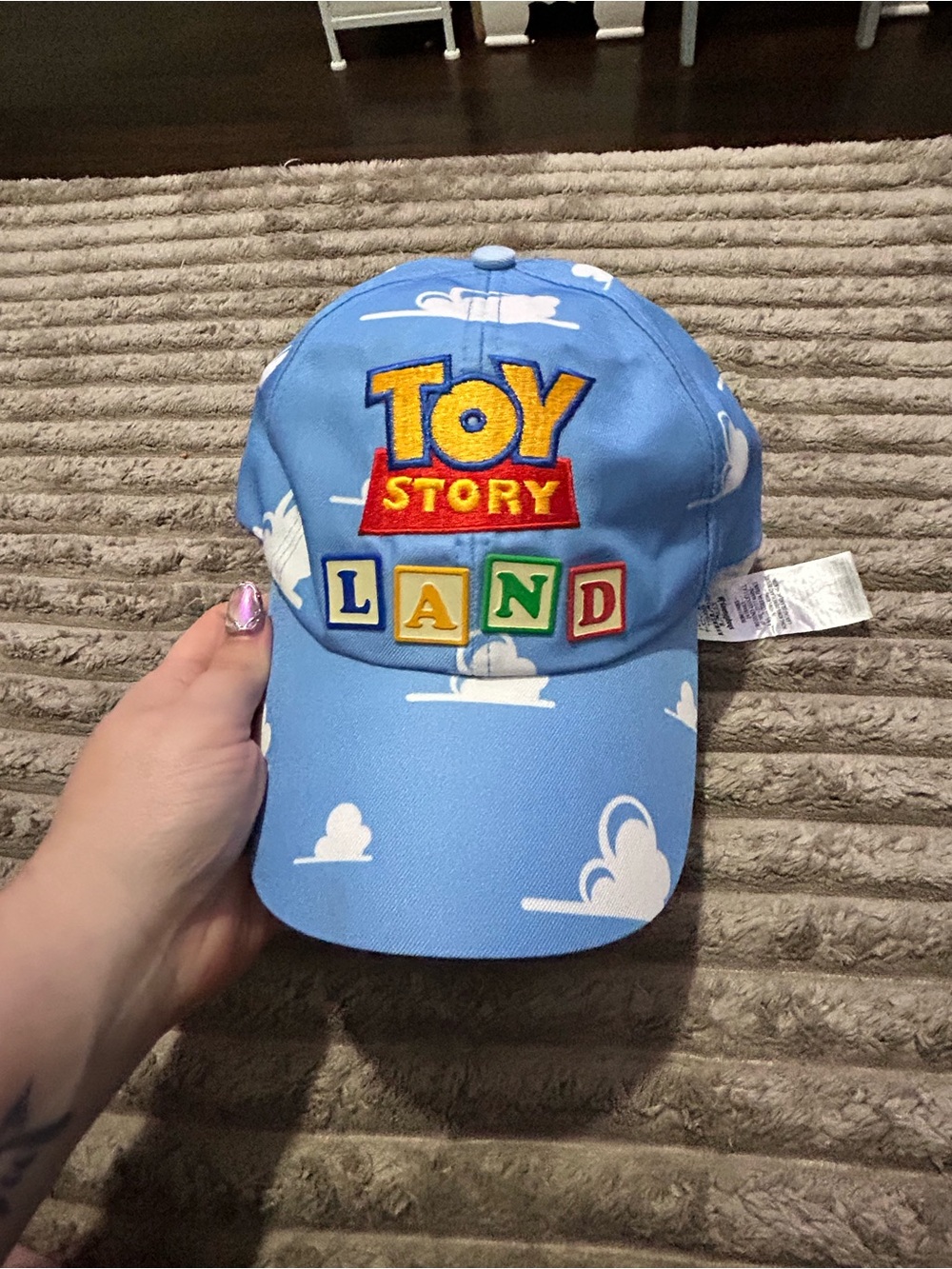 Disney Toy Story Land  Blue Baseball Cap